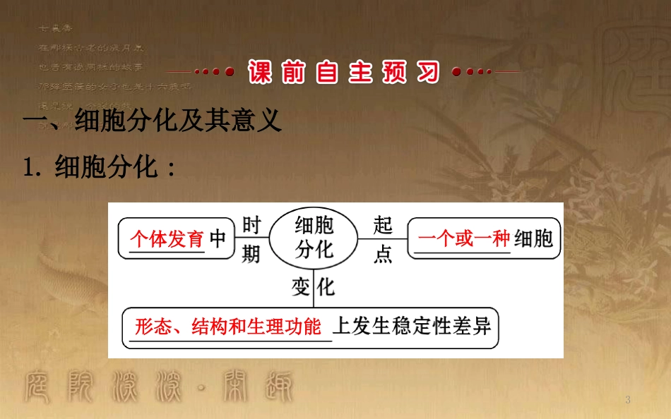 高中生物 第六章 细胞的生命历程 第二节 细胞的分化优质课件 新人教版必修1_第3页