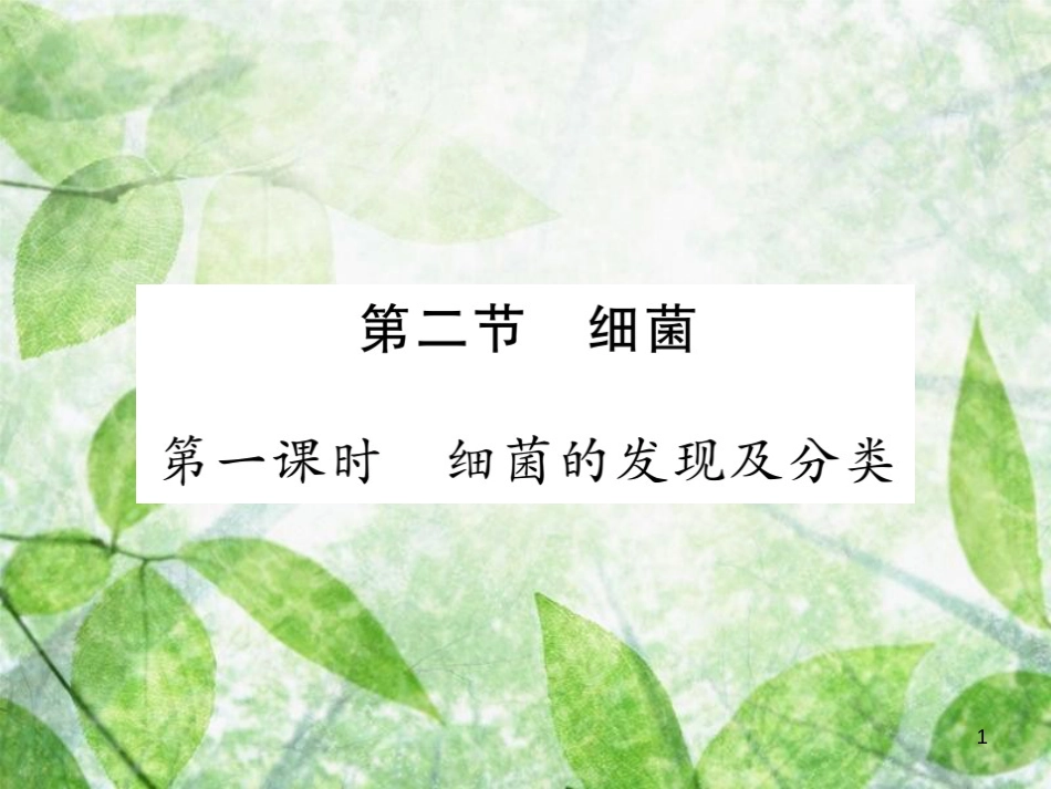 八年级生物上册 第五单元 第四章 第二节 细菌（第1课时 细菌的发现及分类）习题优质课件 （新版）新人教版_第1页