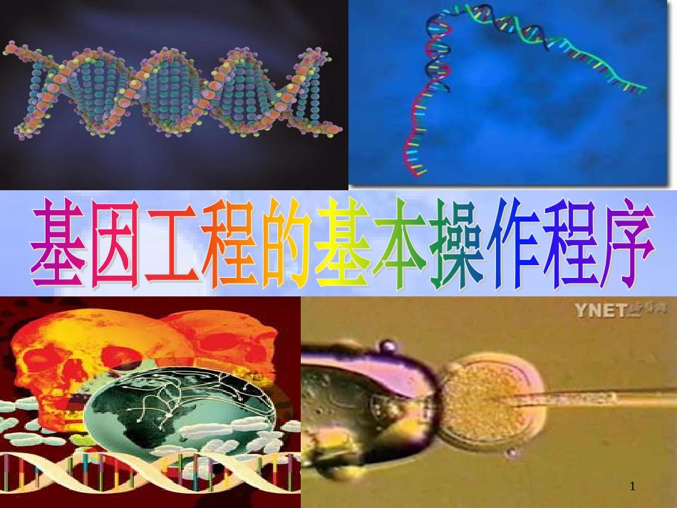 福建省寿宁县高中生物 基因工程 1.2 基因工程的基本操作程序课件 新人教版选修3_第1页