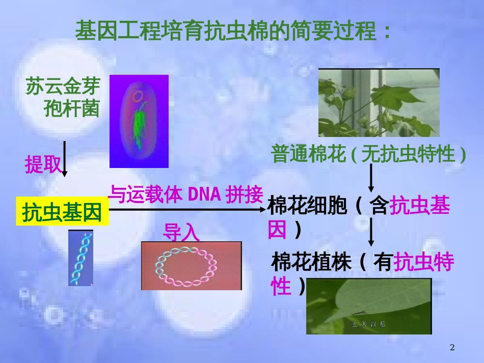 福建省寿宁县高中生物 基因工程 1.2 基因工程的基本操作程序课件 新人教版选修3_第2页