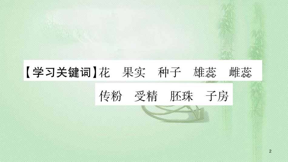 七年级生物上册 第三单元 第6章 第3节 生殖器官的生长习题优质课件 （新版）北师大版 (2)_第2页