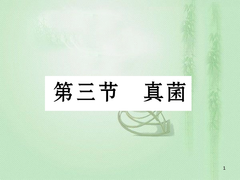 八年级生物上册 第五单元 第4章 第三节 真菌优质课件 （新版）新人教版_第1页