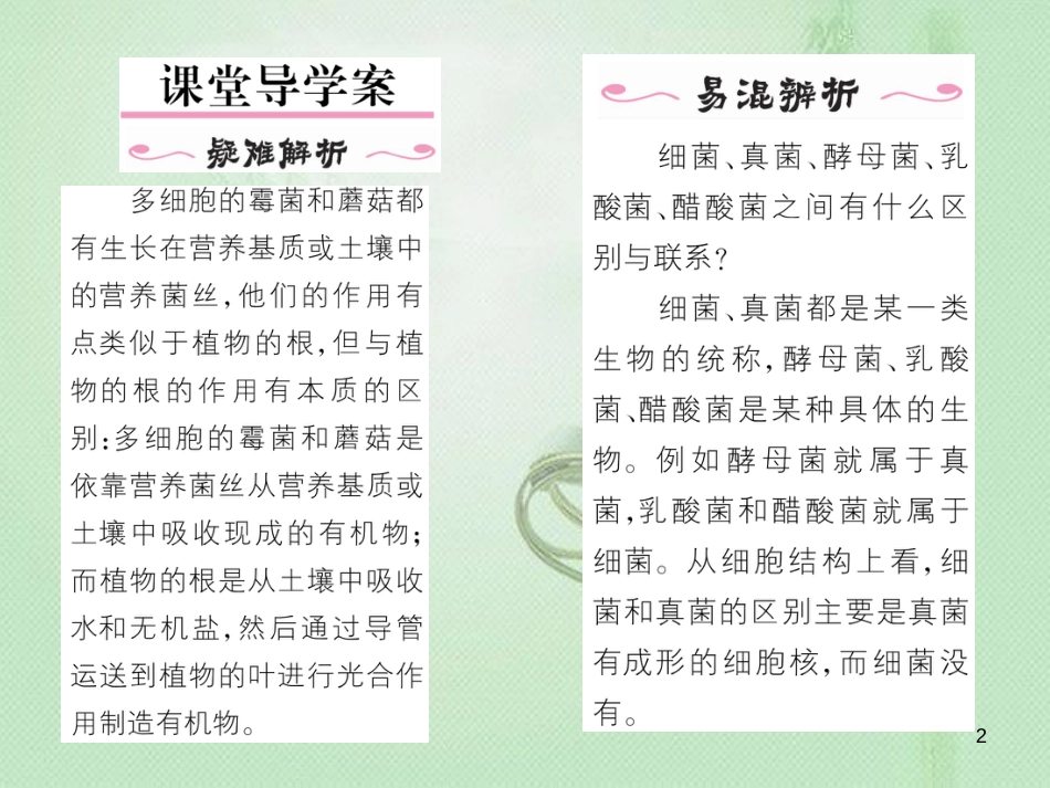 八年级生物上册 第五单元 第4章 第三节 真菌优质课件 （新版）新人教版_第2页