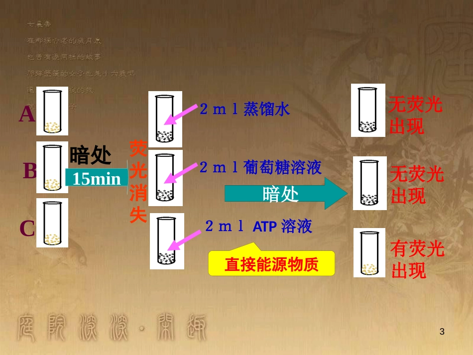 高中生物 专题5.2 细胞的能量“通货”—ATP优质课件 新人教版必修1_第3页