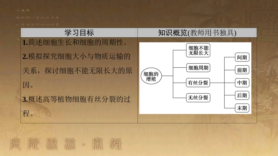 高中生物 第六章 细胞的生命历程 第1节 第1课时 细胞周期和高等植物细胞的有丝分裂优质课件 新人教版必修1_第2页