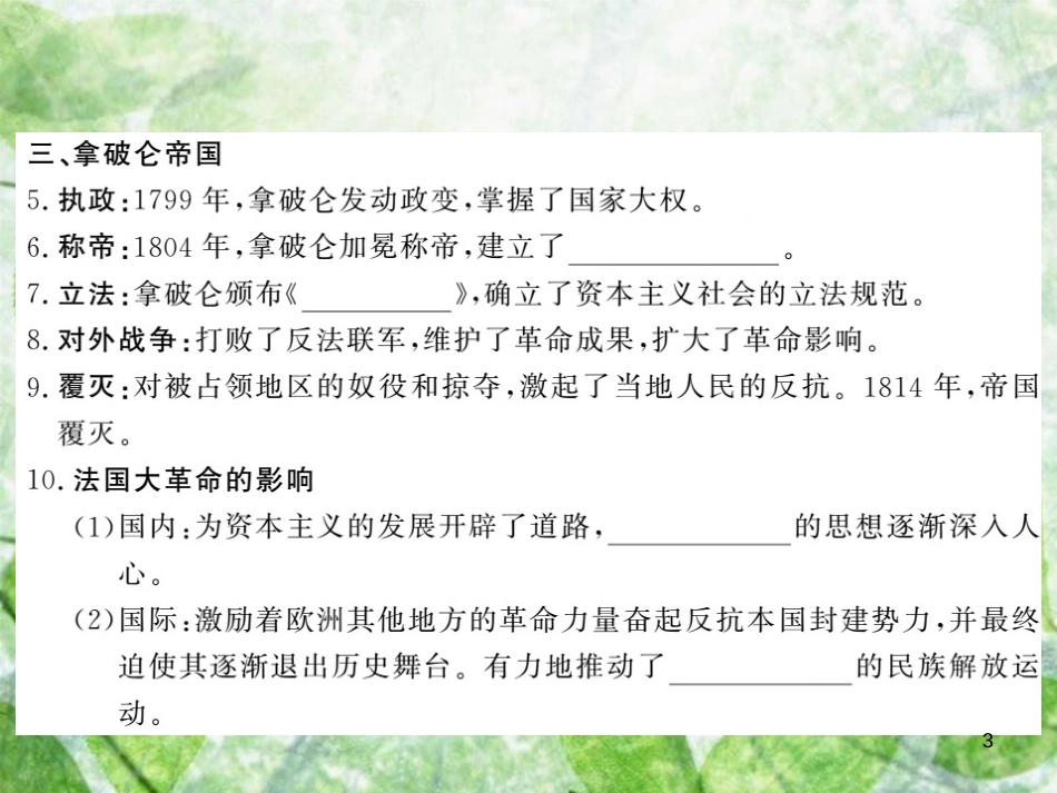 九年级历史上册 第四单元 近代的开端和新制度的确立 第16课 法国大革命和拿破仑帝国优质课件 岳麓版_第3页