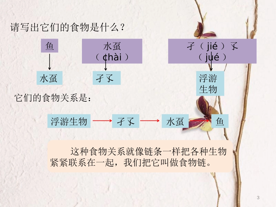 六年级科学上册 1.3 走进池塘课件1 湘教版[共8页]_第3页