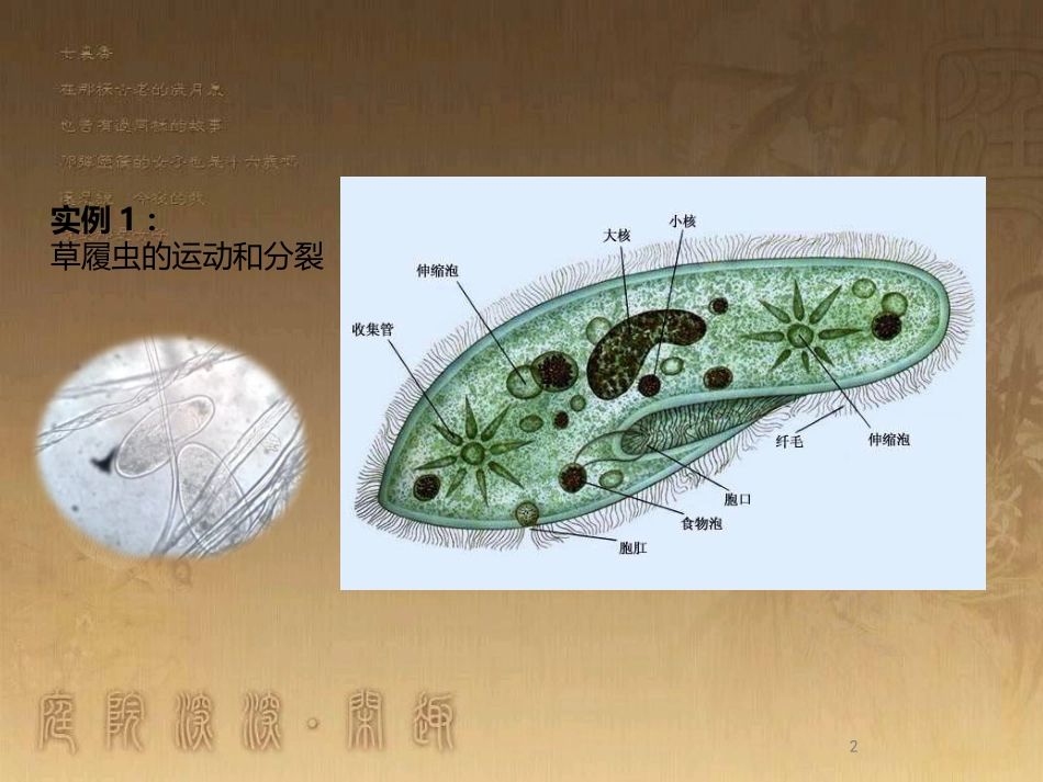 高中生物 专题1.1 从生物圈到细胞优质课件 新人教版必修1_第2页