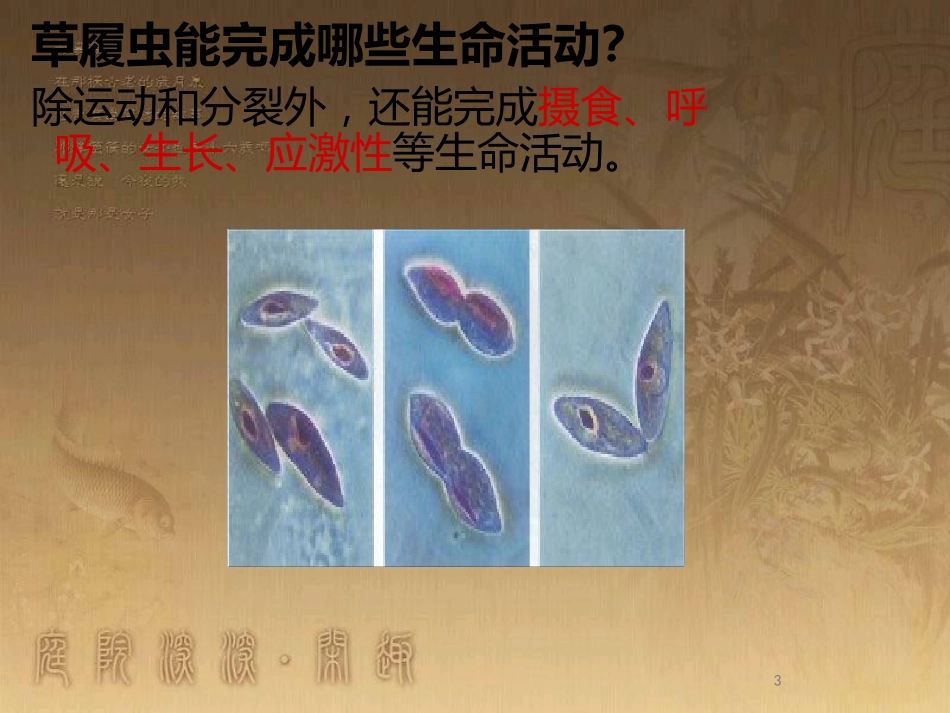 高中生物 专题1.1 从生物圈到细胞优质课件 新人教版必修1_第3页