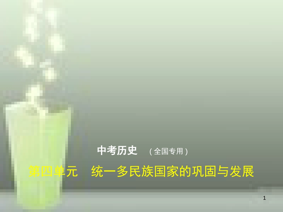 （全国版）2019中考历史总复习 第四单元 统一多民族国家的巩固与发展（试卷部分）优质课件_第1页