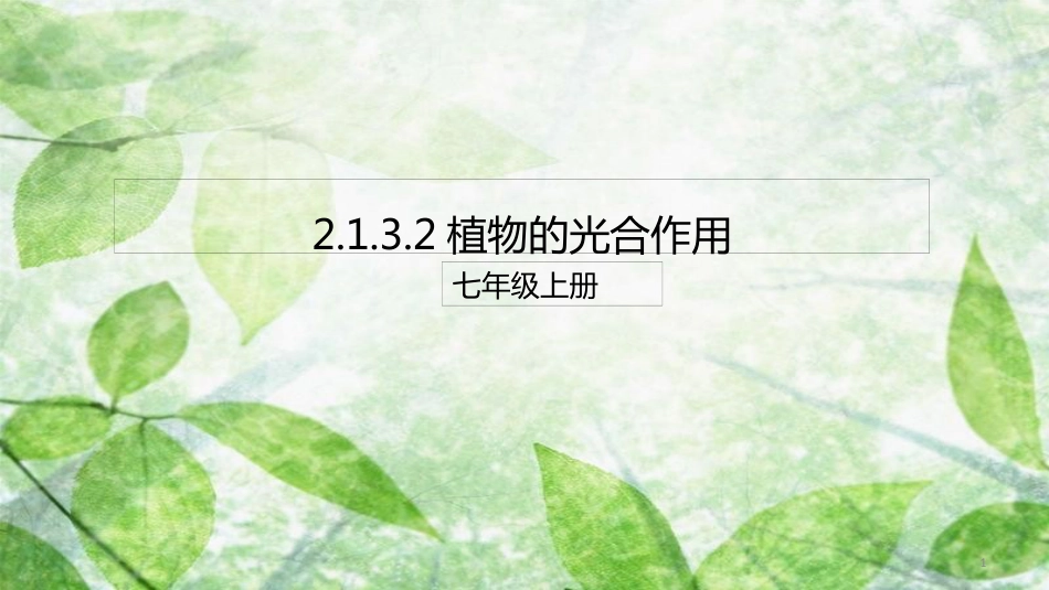 七年级生物上册 2.1.3 绿色植物的光合作用优质课件 （新版）济南版_第1页