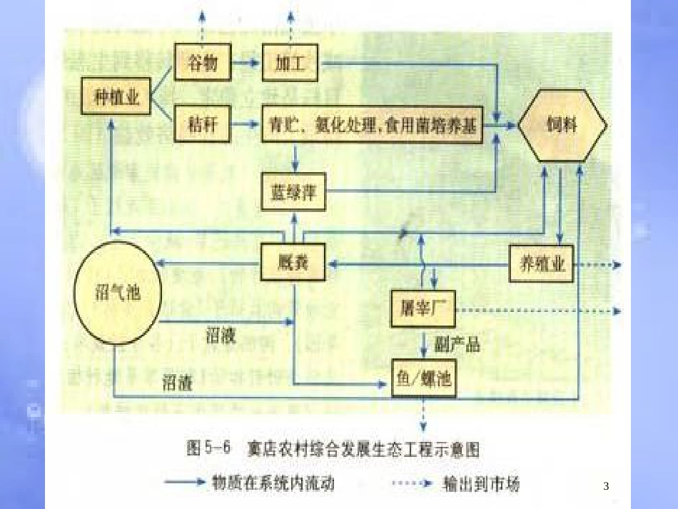 福建省寿宁县高中生物 生态工程 5.2 生态工程的实例和发展前景课件 新人教版选修3_第3页