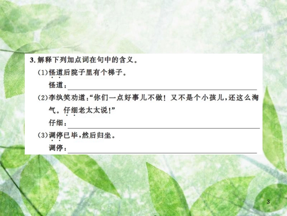 九年级语文上册 第六单元 24 刘姥姥进大观园习题优质课件 新人教版_第3页