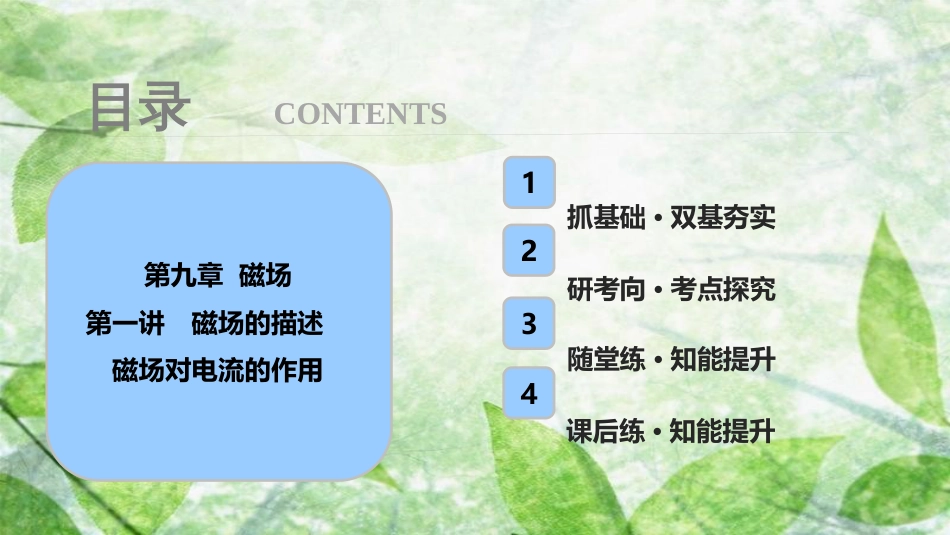 高考物理一轮复习 第九章 磁场 第一讲 磁场的描述 磁场对电流的作用优质课件_第1页