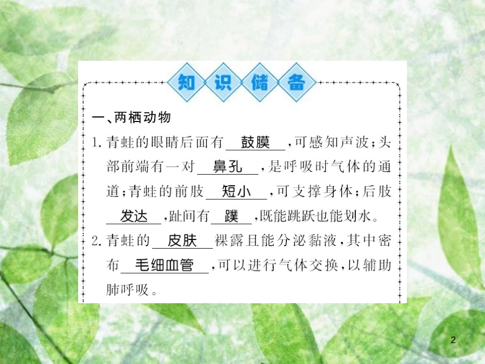 八年级生物上册 第五单元 第1章 第5节 两栖动物和爬行动物习题优质课件 （新版）新人教版_第2页