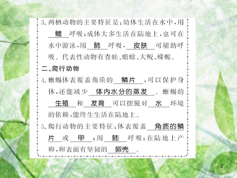 八年级生物上册 第五单元 第1章 第5节 两栖动物和爬行动物习题优质课件 （新版）新人教版_第3页