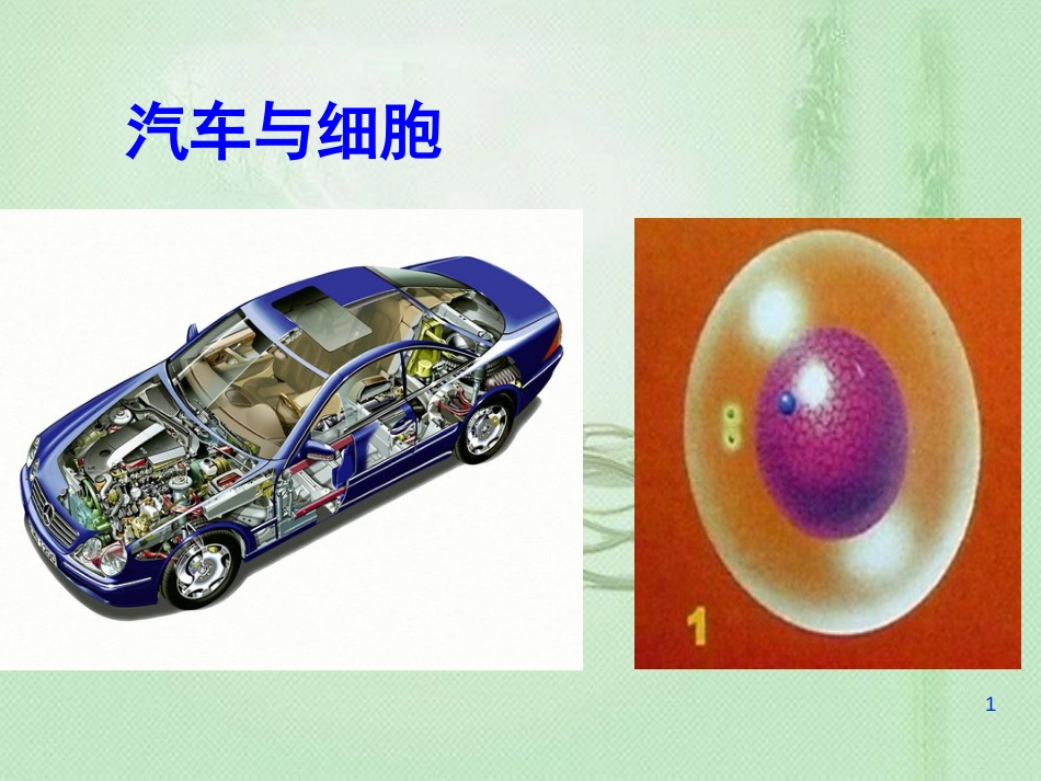 高中生物 专题3.2 细胞器——细胞内的分工合作同步优质课件 新人教版必修1_第1页