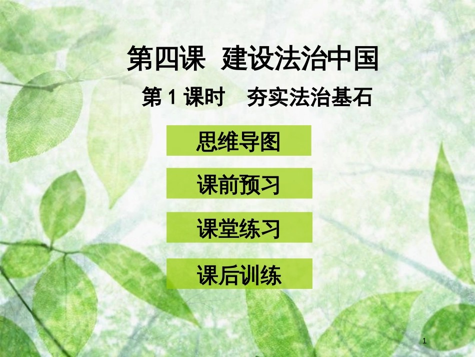 九年级道德与法治上册 第二单元 民主与法治 第四课 建设法治中国 第1框 夯实法治基石优质课件 新人教版_第1页