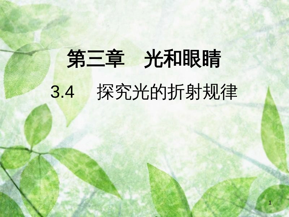 八年级物理上册 3.4 探究光的折射规律习题优质课件 （新版）粤教沪版_第1页