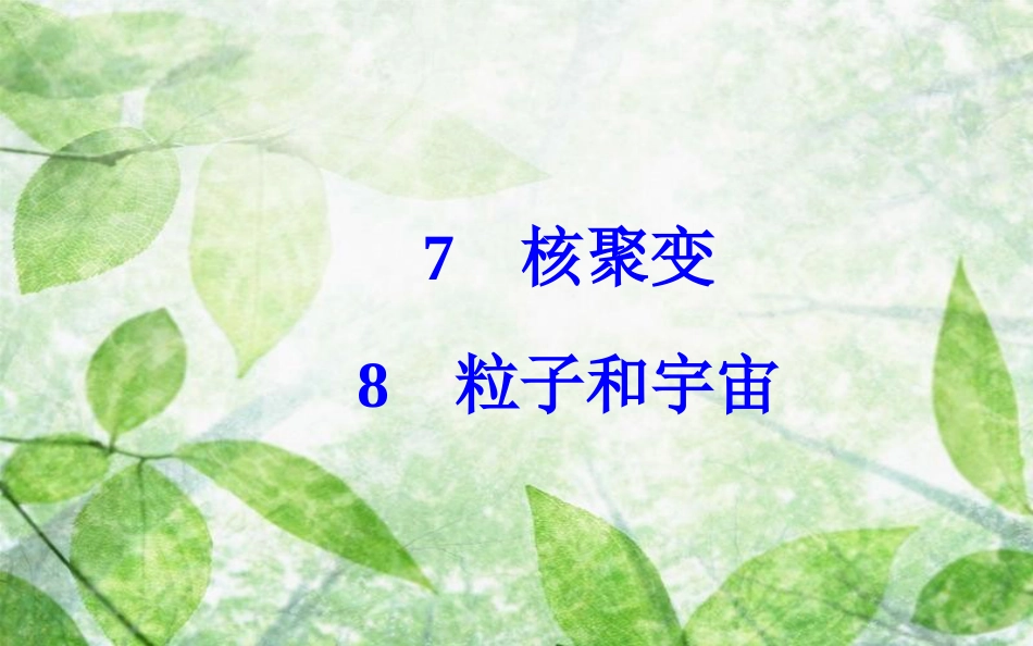 高中物理 第十九章 原子核 7 核聚变 8 粒子和宇宙优质课件 新人教版选修3-5_第2页