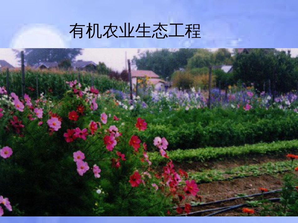 高中生物 第五章 生态工程 5.2 生态工程在农业中的应用课件 浙科版选修3_第1页