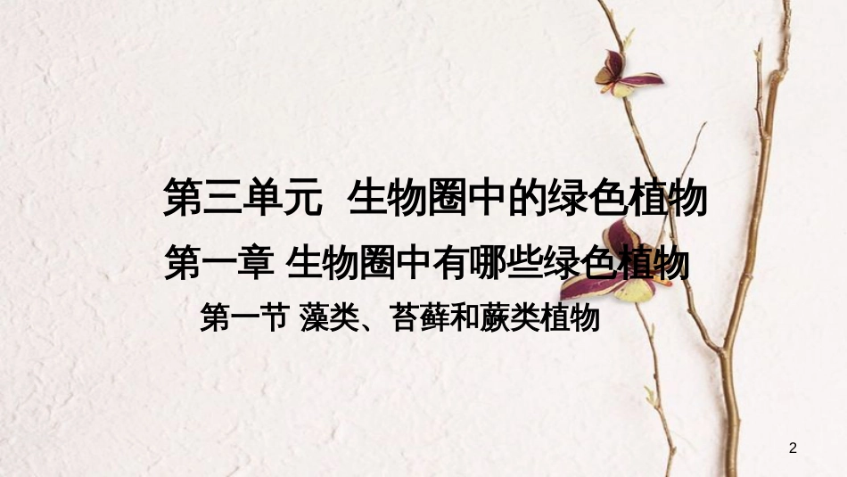 七年级生物上册 第三单元 第一章 第一节《藻类、苔藓和蕨类植物》课件 （新版）新人教版[共24页]_第2页