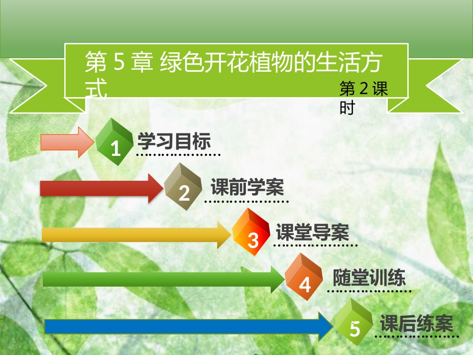 七年级生物上册 第三单元 第5章 第1节 光合作用（第2课时）习题优质课件 （新版）北师大版_第2页