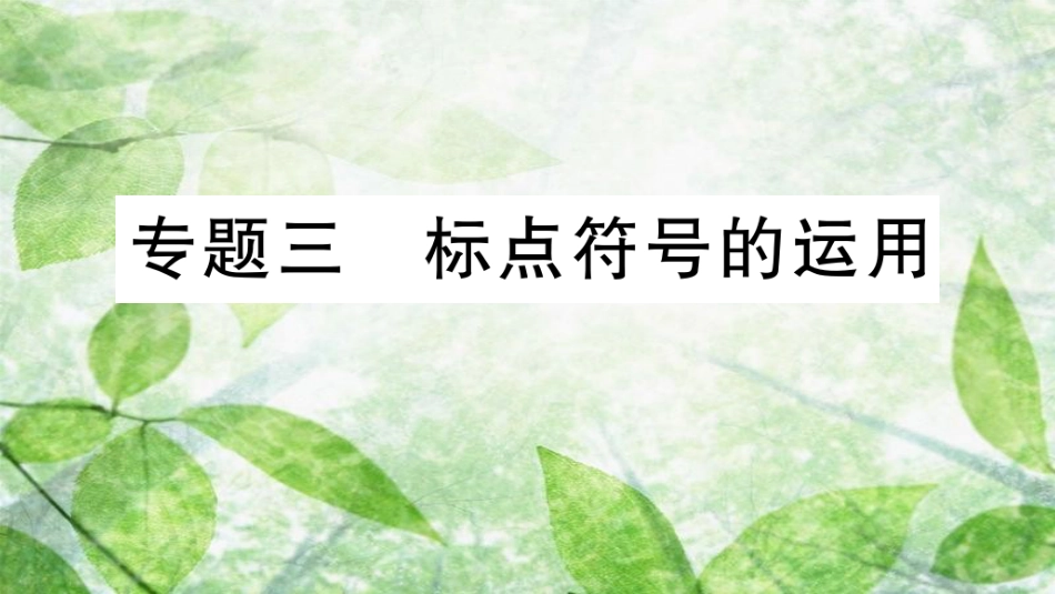 七年级语文上册 期末专题复习三 标点符号的运用优质课件 新人教版_第1页