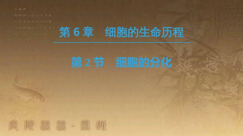 高中生物 第六章 细胞的生命历程 第2节 细胞的分化优质课件 新人教版必修1_第1页