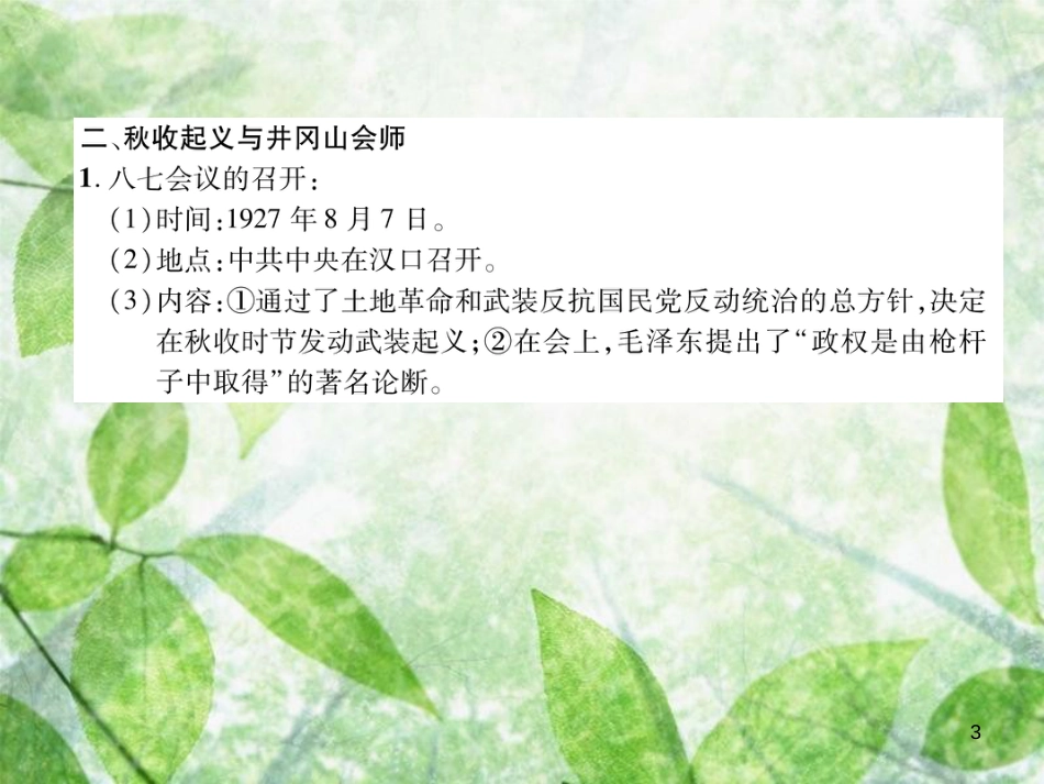 八年级历史上册 练习手册 第5单元 从国共合作到国共对峙 第16课 毛泽东开辟井冈山道路优质课件 新人教版_第3页