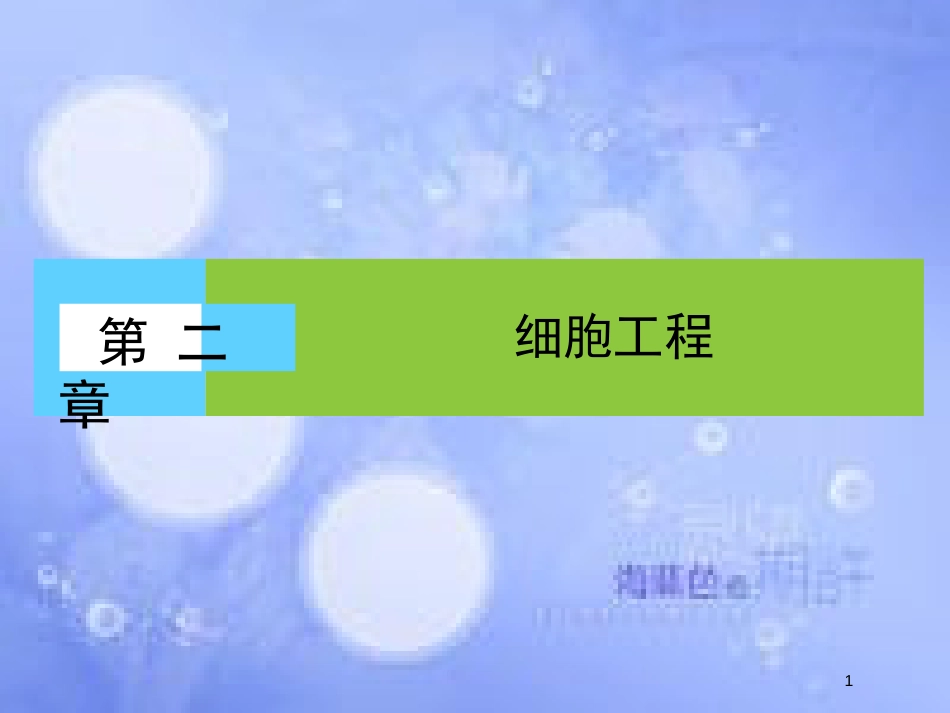 高中生物 第二章 细胞工程 第1节 细胞工程概述课件 苏教版选修3_第1页