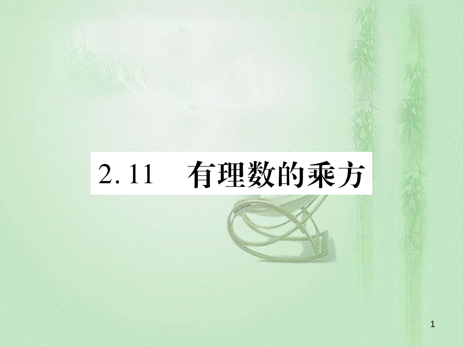 dnaAAA七年级数学上册 第2章 有理数 2.11 有理数的乘方优质课件 （新版）华东师大版_第1页