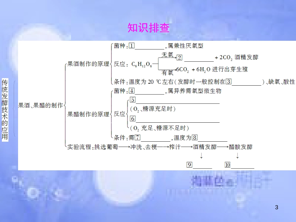 高三生物一轮复习 专题一 传统发酵技术应用 专题二 微生物的培养与应用课件 新人教版选修1_第3页