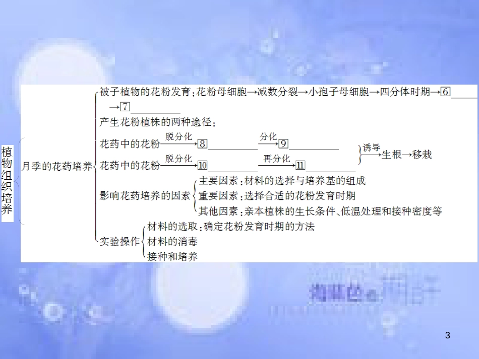 高三生物一轮复习 专题三 植物的组织培养技术 专题四 酶的研究与应用课件 新人教版选修1_第3页