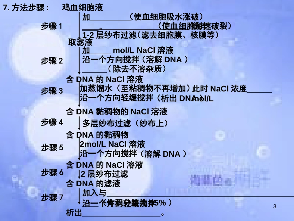 高中生物 专题五 DNA和蛋白质技术听写11课件 新人教版选修1_第3页