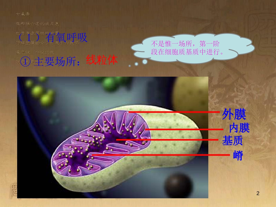 高中生物 专题5.3 ATP的主要来源—细胞呼吸优质课件 新人教版必修1_第2页