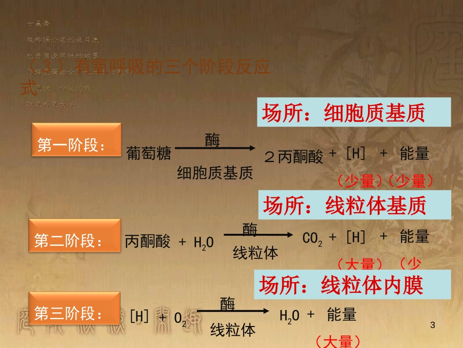 高中生物 专题5.3 ATP的主要来源—细胞呼吸优质课件 新人教版必修1_第3页