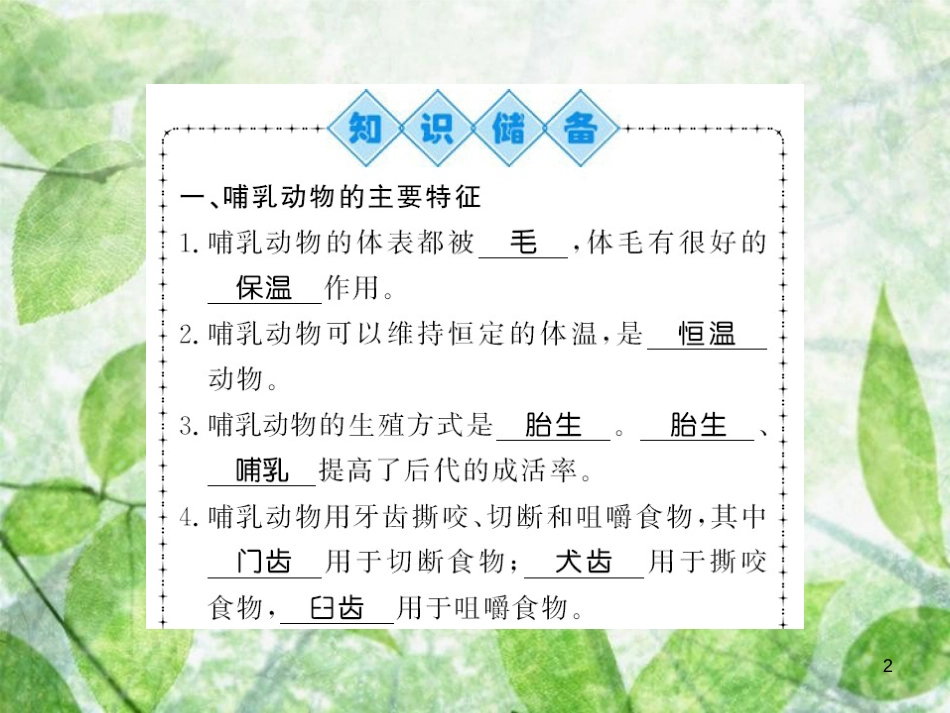 八年级生物上册 第五单元 第1章 第7节 哺乳动物习题优质课件 （新版）新人教版_第2页