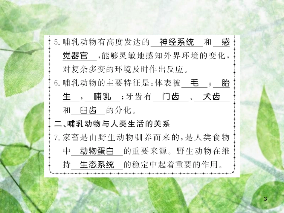 八年级生物上册 第五单元 第1章 第7节 哺乳动物习题优质课件 （新版）新人教版_第3页