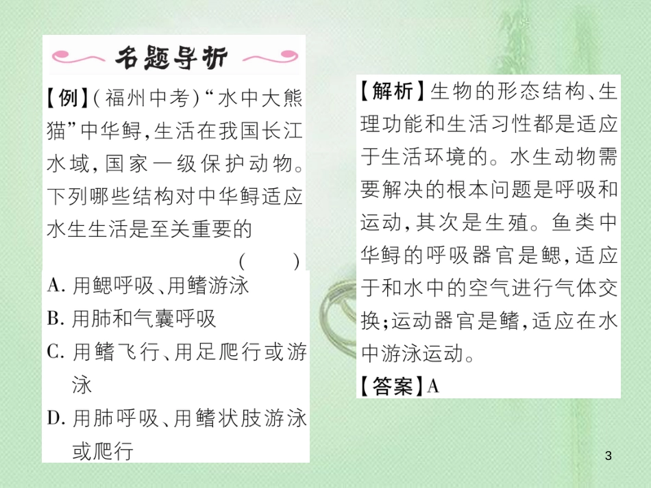 八年级生物上册 第五单元 第1章 第四节 鱼优质课件 （新版）新人教版_第3页