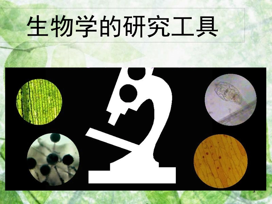 七年级生物上册 1.1.4《生物学的研究工具》优质课件 （新版）济南版_第1页