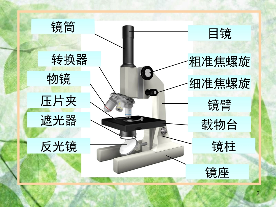 七年级生物上册 1.1.4《生物学的研究工具》优质课件 （新版）济南版_第2页