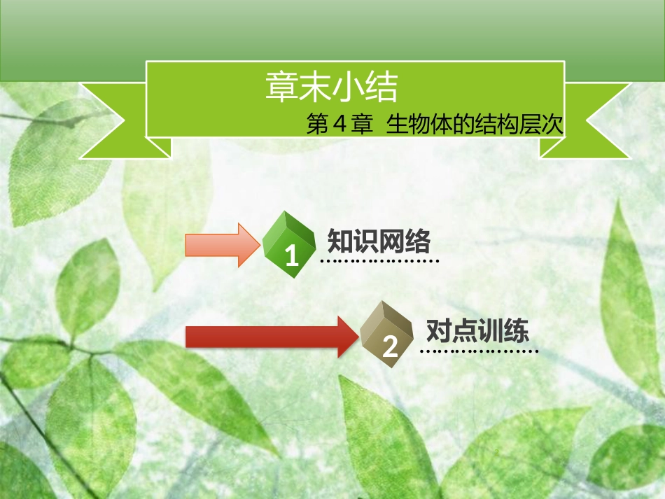 七年级生物上册 第二单元 第4章 生物体的结构层次章末小结习题优质课件 （新版）北师大版_第2页