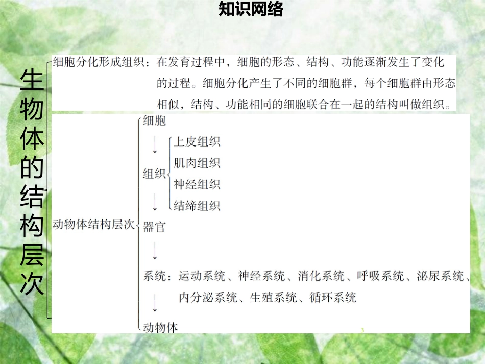 七年级生物上册 第二单元 第4章 生物体的结构层次章末小结习题优质课件 （新版）北师大版_第3页
