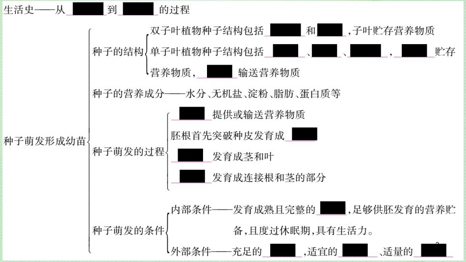 七年级生物上册 第3单元 第6、7章知识归纳习题优质课件 （新版）北师大版_第2页