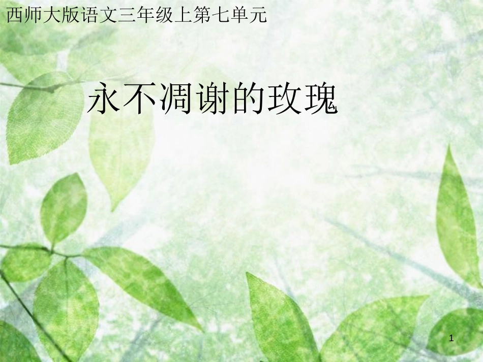 三年级语文上册 第七单元 永不凋谢的玫瑰课件2 西师大版_第1页
