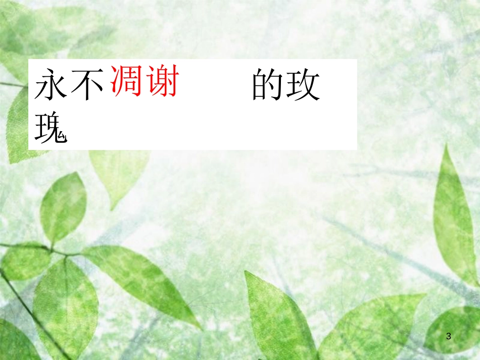 三年级语文上册 第七单元 永不凋谢的玫瑰课件2 西师大版_第3页