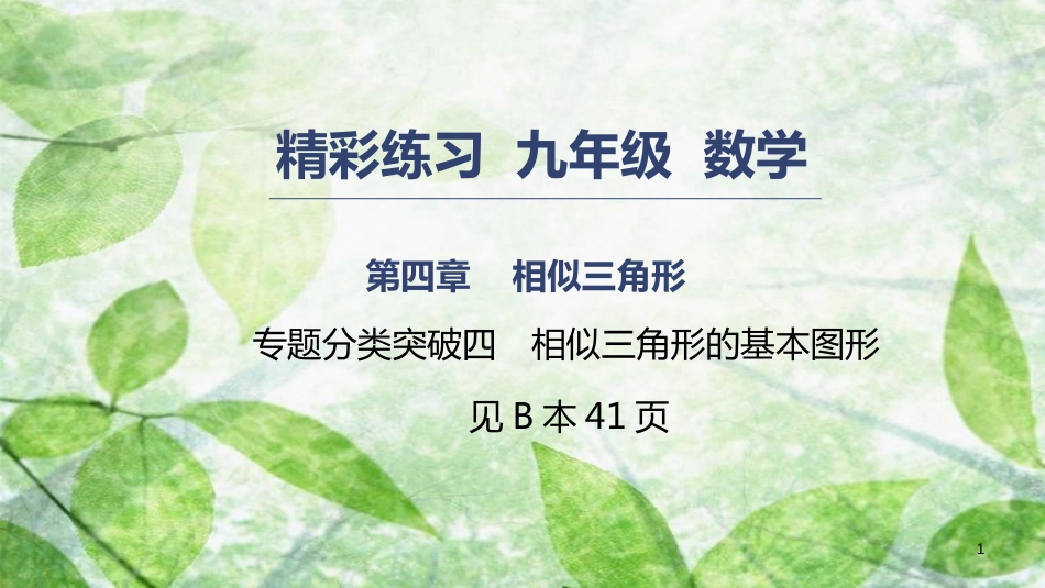 九年级数学上册 第四章 相似三角形 专题分类突破四 相似三角形的基本图形优质课件 （新版）浙教版_第1页