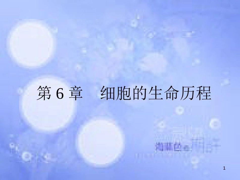 高三生物一轮复习 第六章 细胞的生命历程 6.1 细胞的增殖课件 新人教版必修1_第1页