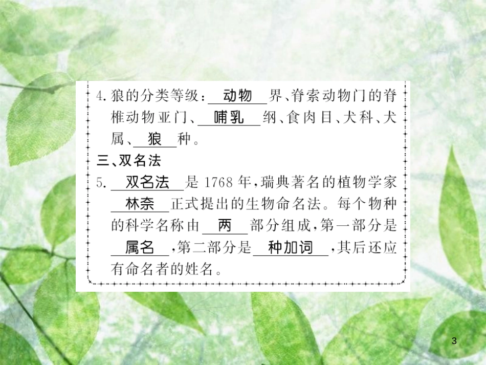 八年级生物上册 第六单元 第1章 第2节 从种到界习题优质课件 （新版）新人教版_第3页